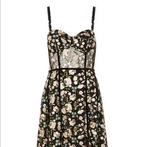 Topshop Embroidered Floral Corset Dress